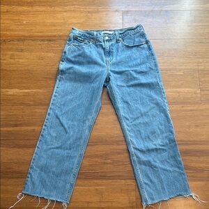 Levi’s Low Pro Straight Jeans